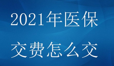 农村医保网上缴费能退吗