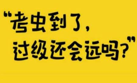 考虫考研班数学网课值得买