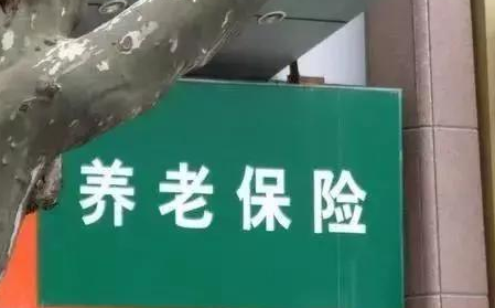 陕西养老保险app无法使用