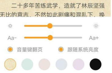 全本小说缓存在哪