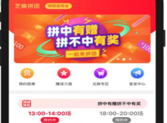 芝嫲拼团app