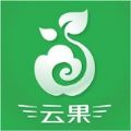 云果网app