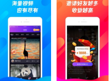 看看短视频app
