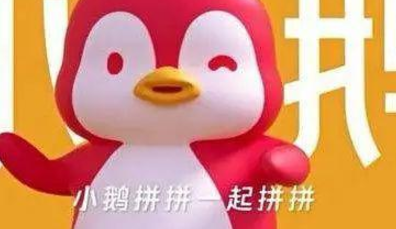 小鹅拼拼价格说明
