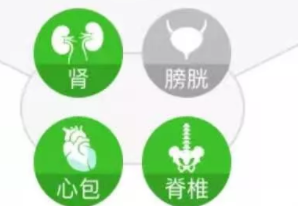 安顿预警手表安顿APP使用及注意事项 安顿预警手表安顿APP使用及注意事项