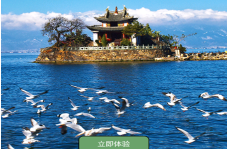 大理文旅app