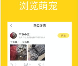 宠萌小窝APP