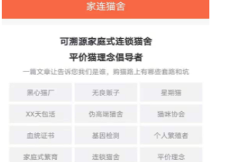 家连猫舍app