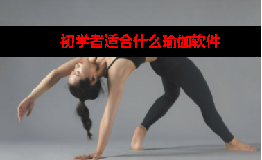 瑜伽app哪款好用初学者 瑜伽app哪款好用初学者