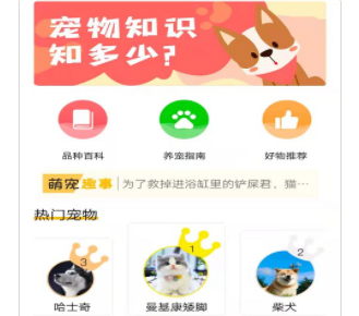 优宠快报app