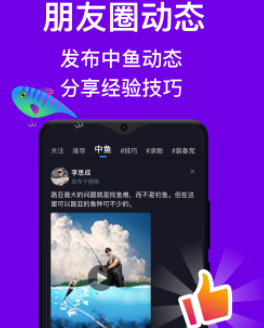 爱路亚app