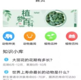 灵通植物app