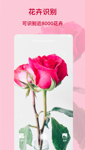 识物王app