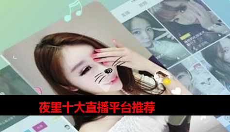 夜里十大直播软件有哪些 夜里十大直播软件有哪些