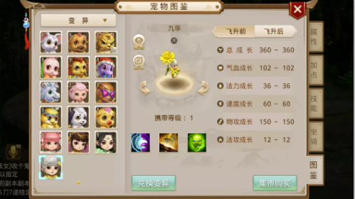 问道手游菊：九华怎么玩
