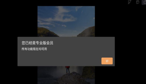 motionleat升级专业版