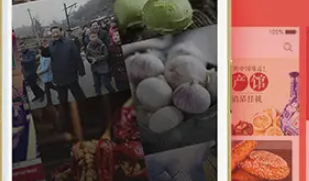 晋农贸APP是什么