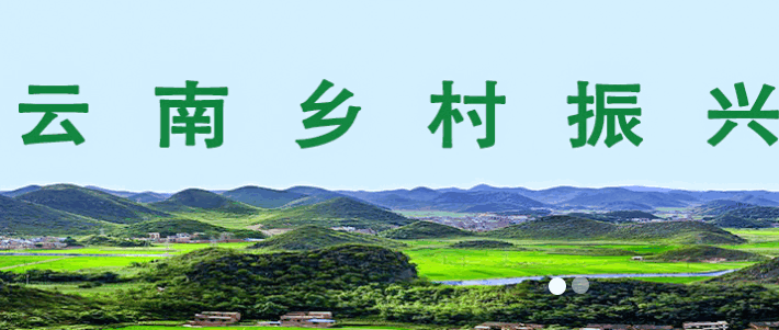 云南乡村振兴学网手机app