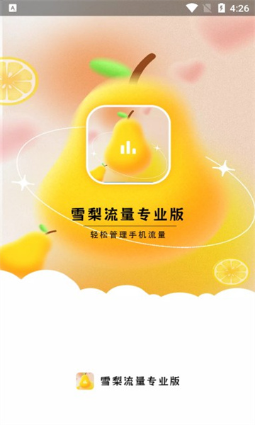 雪梨流量专业版