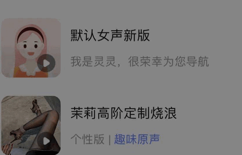 百度地图茉莉高阶定制版