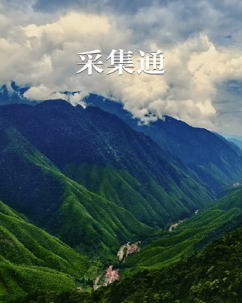 采集通APP