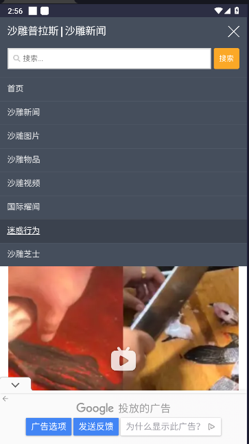 沙雕普拉斯沙雕新闻软件