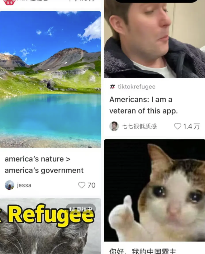 TikTok难民是什么意思