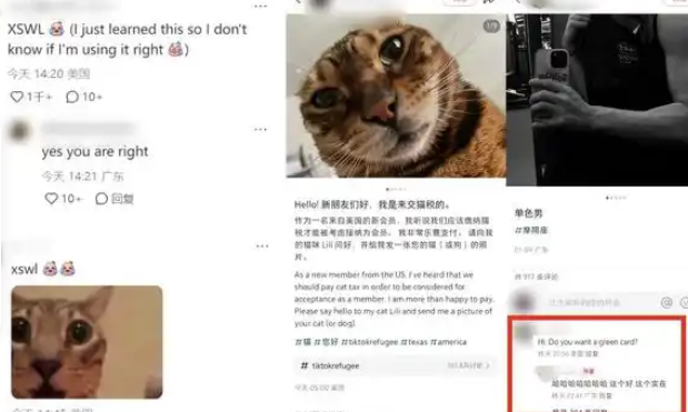 小红书怎么看美国人的笔记