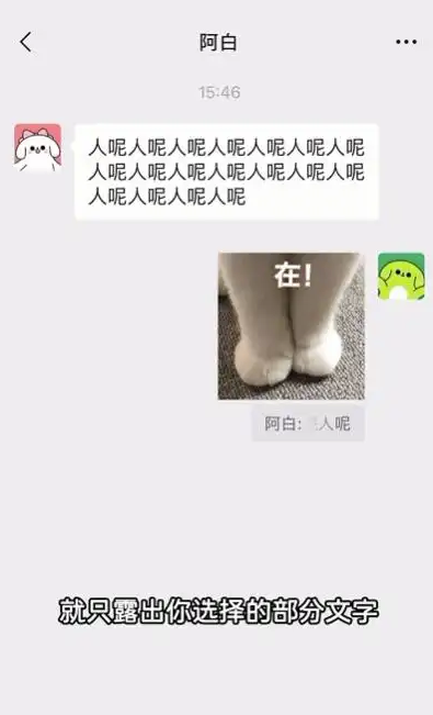微信聊天怎么引用部分文字